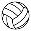 WA Sticker Volleyball