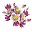 WAStickerApps - Sticker Flowers APK