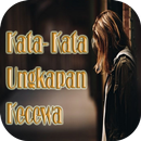 Kata - Kata Ungkapan Kecewa APK