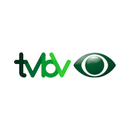 TV Barriga Verde APK