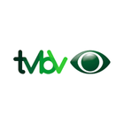 TV Barriga Verde ikon