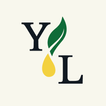 ”Young Living Essentials