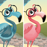 Find Differences | Game