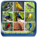 Femea Canto De Passaros APK