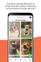 Pet Spark imagem de tela 2