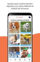 Pet Spark imagem de tela 3