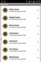 Sesli Kuran Sureleri Screenshot 2