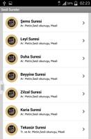Sesli Kuran Sureleri Screenshot 3
