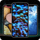 Wallpapers For ZTE Blade V40 APK