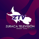 ZTV HD APK