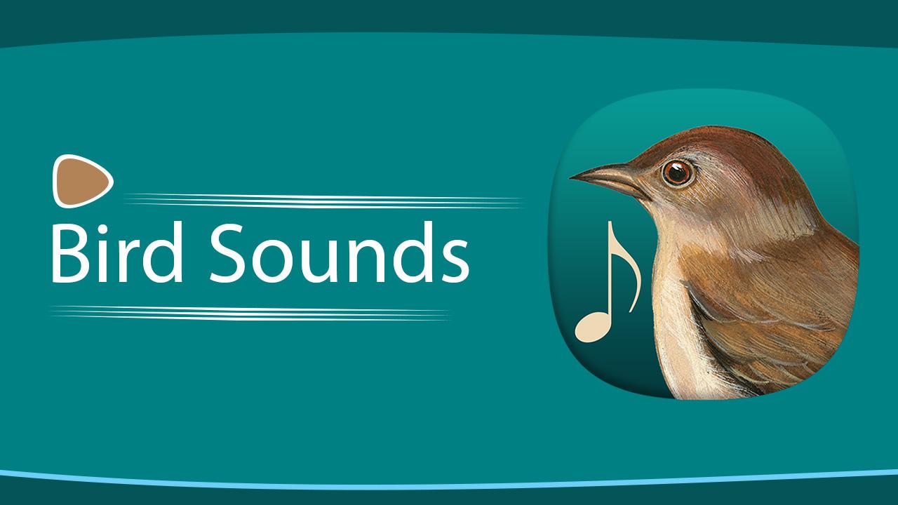 Игра звук птичек. Bird Sound. Аудио звук птицы. Звук птица Мелл. Звук пролевшой птицы.