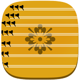 Qanun Saz 圖標