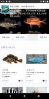 WEB魚図鑑 پوسٹر