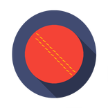 Cricketer - Scoring & Stats