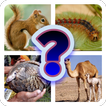 Animal Discovery Quiz