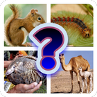 Animal Discovery Quiz icône