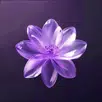 Bloom APK