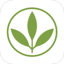 Plant Power Fast Food APK