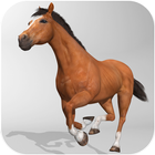 Horse Simulator icon