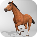 Horse Simulator ícone