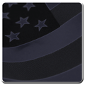 US Citizenship Questionnaire