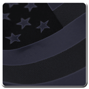 US Citizenship Questionnaire-APK