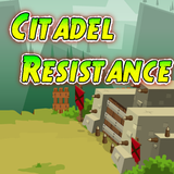Citadel Resistance