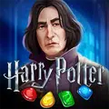 Harry Potter: Puzzles & Spells
