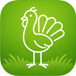 ChickAdven- цыплёнка