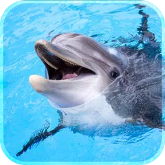 delfino vivere sfondo 2018 3d sfondo hd