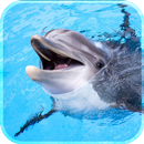 Delfin Leben Tapete 2018 3d Hintergrund hd APK