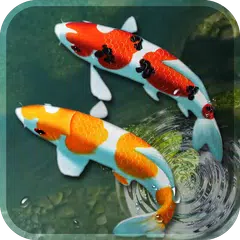 koi peixe viver papel de parede 3d aquário Plano