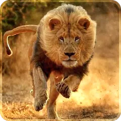 Lion Live Wallpaper 2019: 3D Real HD Background APK  for Android –  Download Lion Live Wallpaper 2019: 3D Real HD Background APK Latest Version  from 