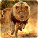 Lion Live Wallpaper App APK