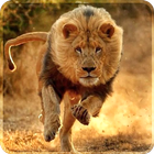 Lion vivre fond d'écran 2019 3D réal HD fond icône