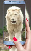 Lion vivre fond d'écran 2019 3D réal HD fond capture d'écran 3
