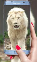 Lion Live Wallpaper imagem de tela 3