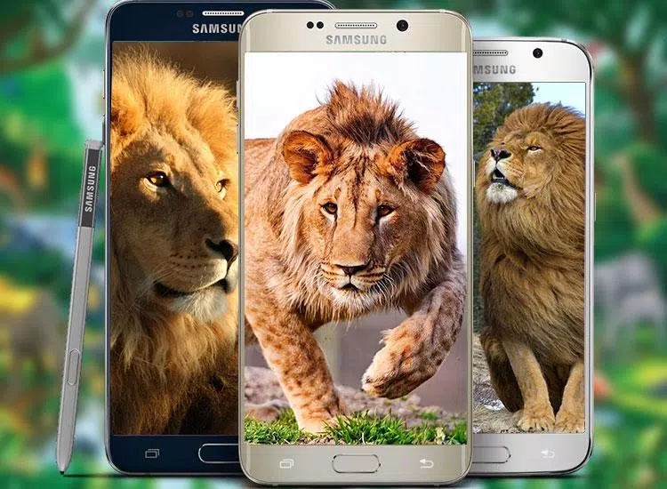 Lion Live Wallpaper 2019: 3D Real HD Background APK for Android Download Lion Live Wallpaper 2019: 3D Real HD Background APK for Android Download