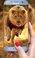 Lion vivre fond d'écran 2019 3D réal HD fond capture d'écran 1