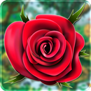 3D Rosen- Leben Tapete 2019 HD Hintergrund APK