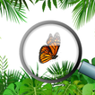 Icona Hidden objects and Animals