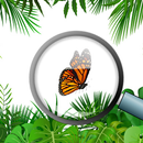 Hidden objects and Animals APK