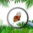 APK Hidden objects and Animals