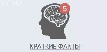 Краткие Факты
