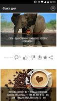 Факт дня ảnh chụp màn hình 1
