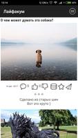 Лайфакум ảnh chụp màn hình 2