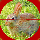Snajper polowania królik 3d aplikacja