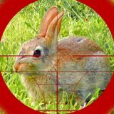 sniper săn thỏ 3d biểu tượng