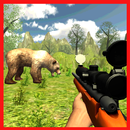 Bear Hunter Expert aplikacja