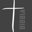 Bibbia icône